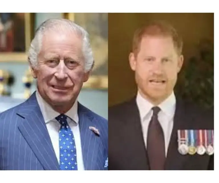 Prince Harry Impresses King Charles with His ‘Authoritative’ Award Speech